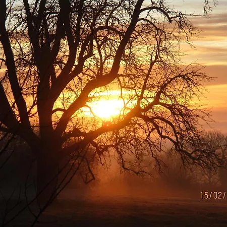 Le Au Vieux Vignoble Avec Espace Sauna Et Jacuzzi * Bouxwiller (Bas-Rhin)