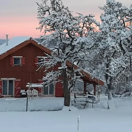 Chalet Le Au Vieux Vignoble Avec Espace Sauna Et Jacuzzi