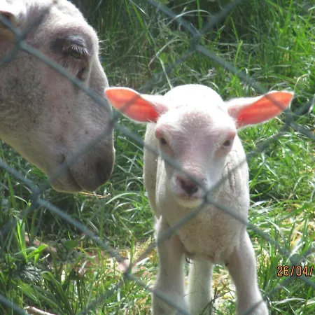 Le Au Vieux Vignoble Avec Espace Sauna Et Jacuzzi Chalet *