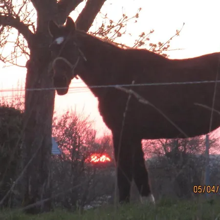 Le Au Vieux Vignoble Avec Espace Sauna Et Jacuzzi Chalet Bouxwiller (Bas-Rhin)